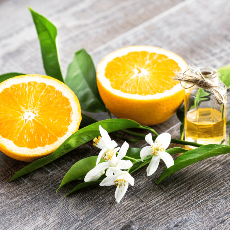 a photograph of an orange cut open with orange blossom